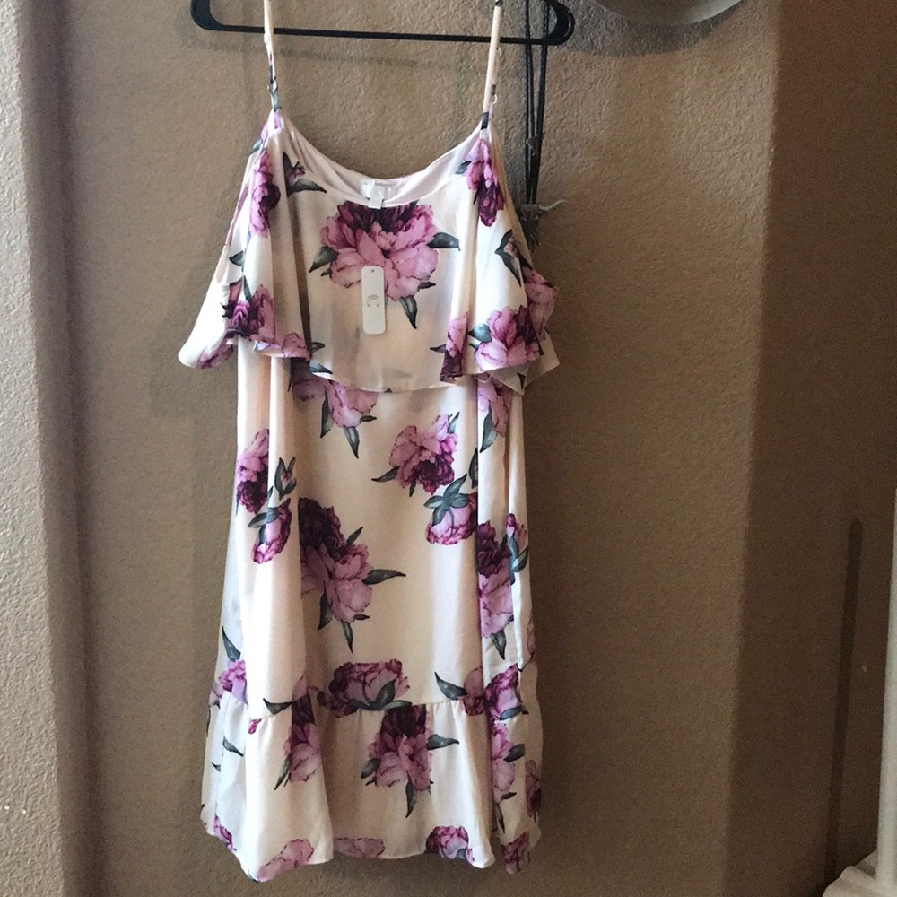 NWT Charming Charlie dress